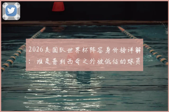 2026美国队世界杯阵容身价榜详解：谁是普利西奇之外被低估的球员？